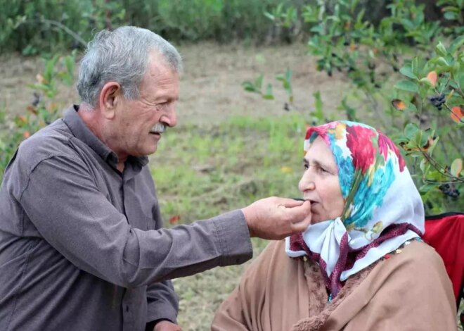 Aronya Yetiştiricisi İdris Bilici Taleplere Yetişemiyor